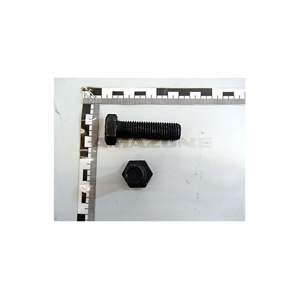 Vis 16 X 55 10.9 DC391 Amazone