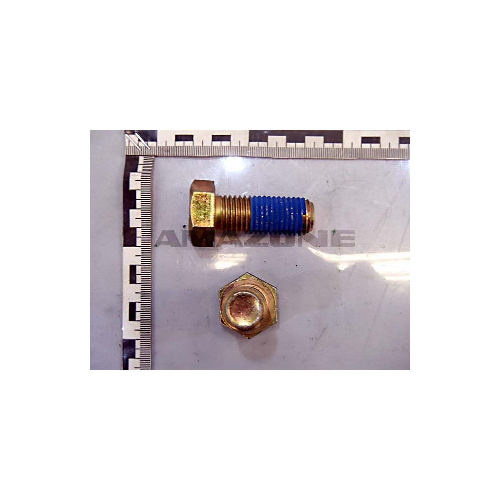Vis 6KT-SHR 4017 20X 50 8.8 DC401 Amazone