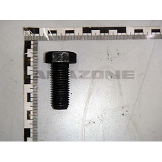 Vis 20*50 Réf. DC396 - AMAZONE Vis 20*50 Réf. DC396 - AMAZONE