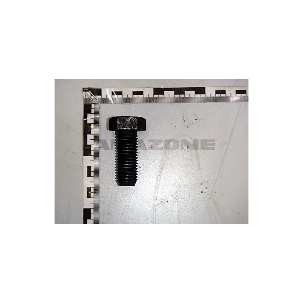Vis 20*50 DC396 Amazone