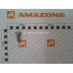 Vis 10 X 25 DC410 Amazone
