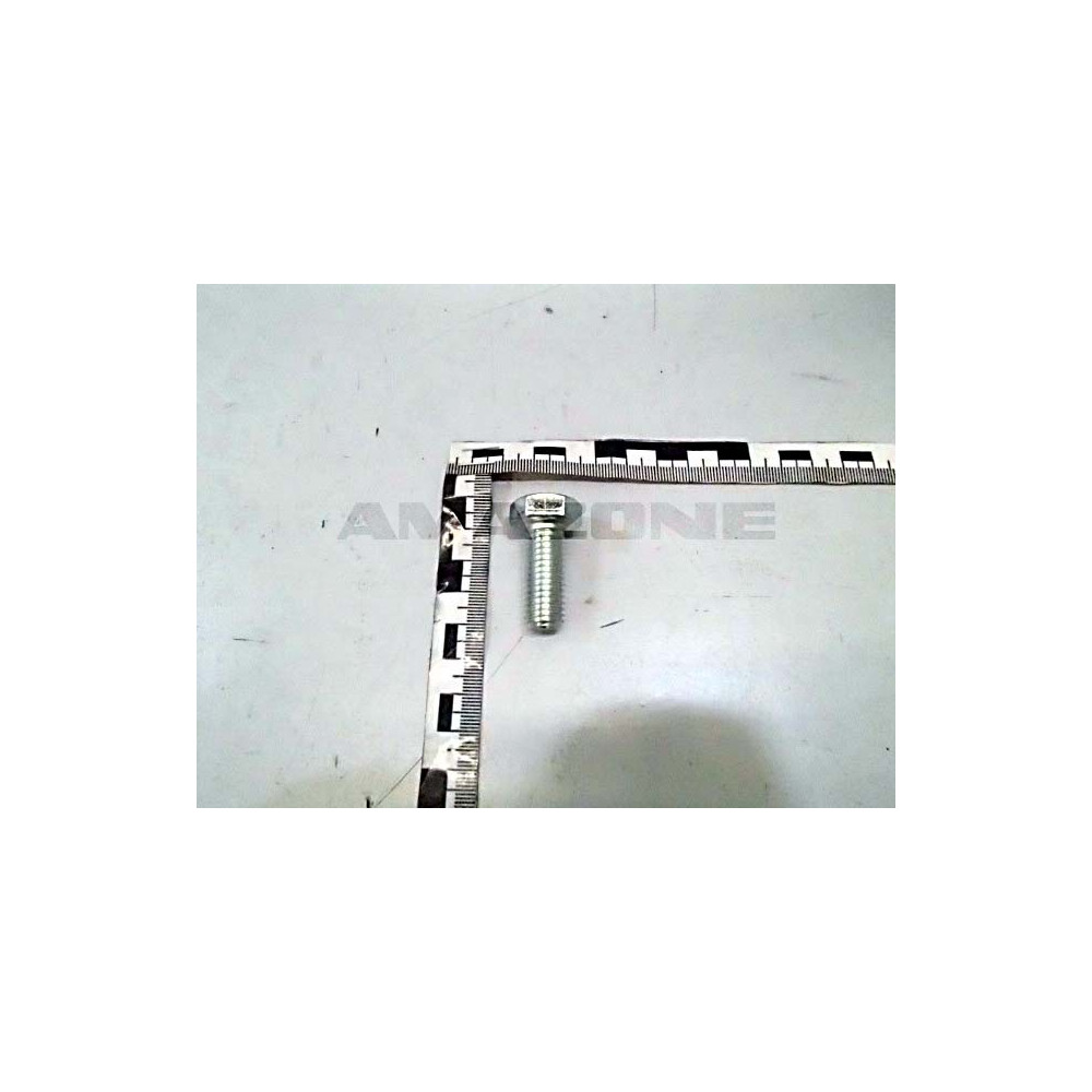 Vis 13X30 8.8 DC411 Amazone