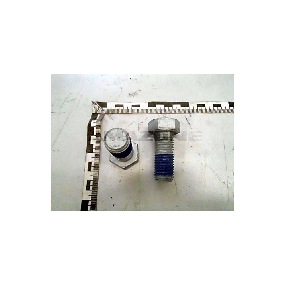 Vis 20X50 10.9 4017 DC409 Amazone