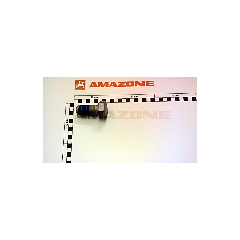 Vis 24 X 55 10.9 DC418 Amazone