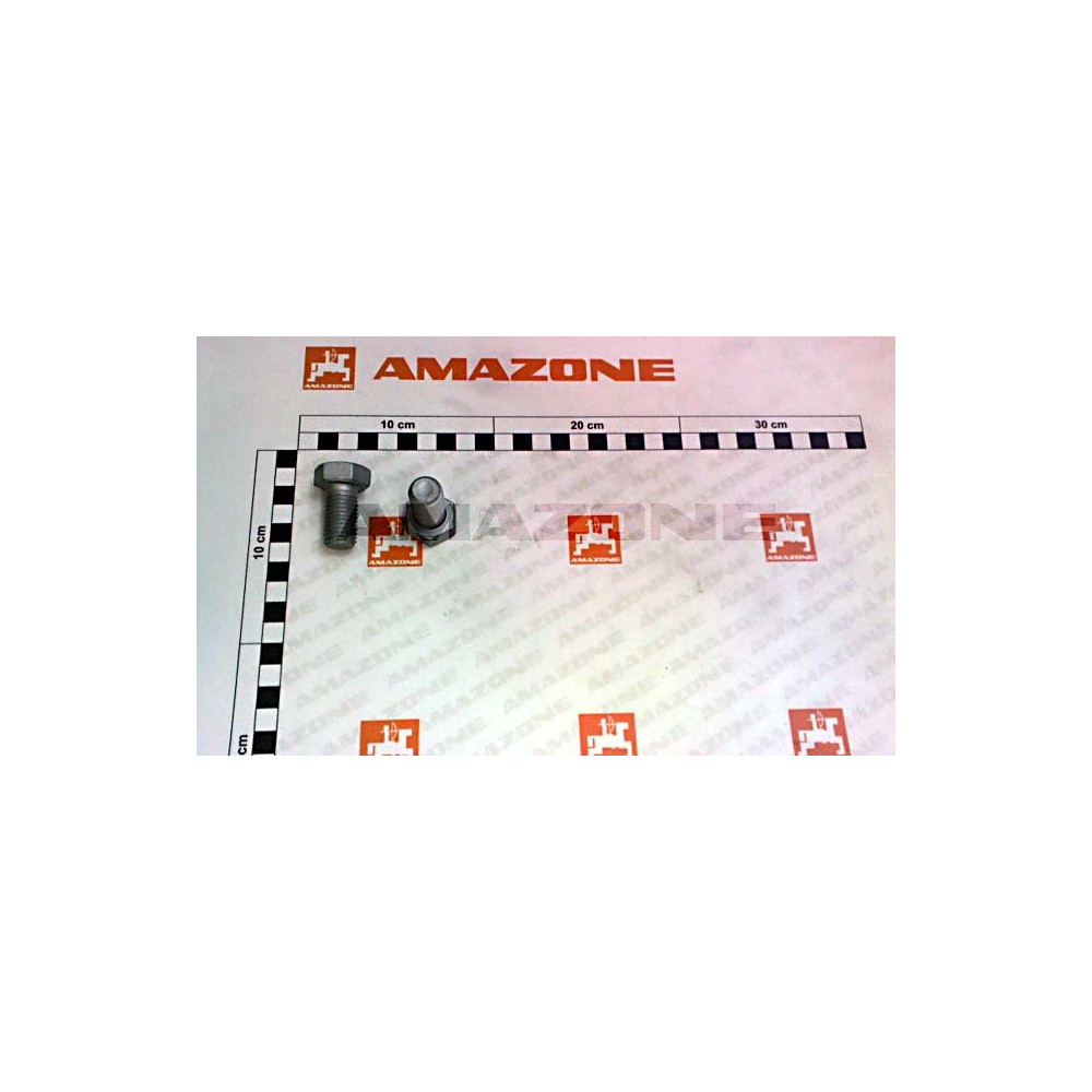 Vis 16 X 30 10.9 DC424 Amazone