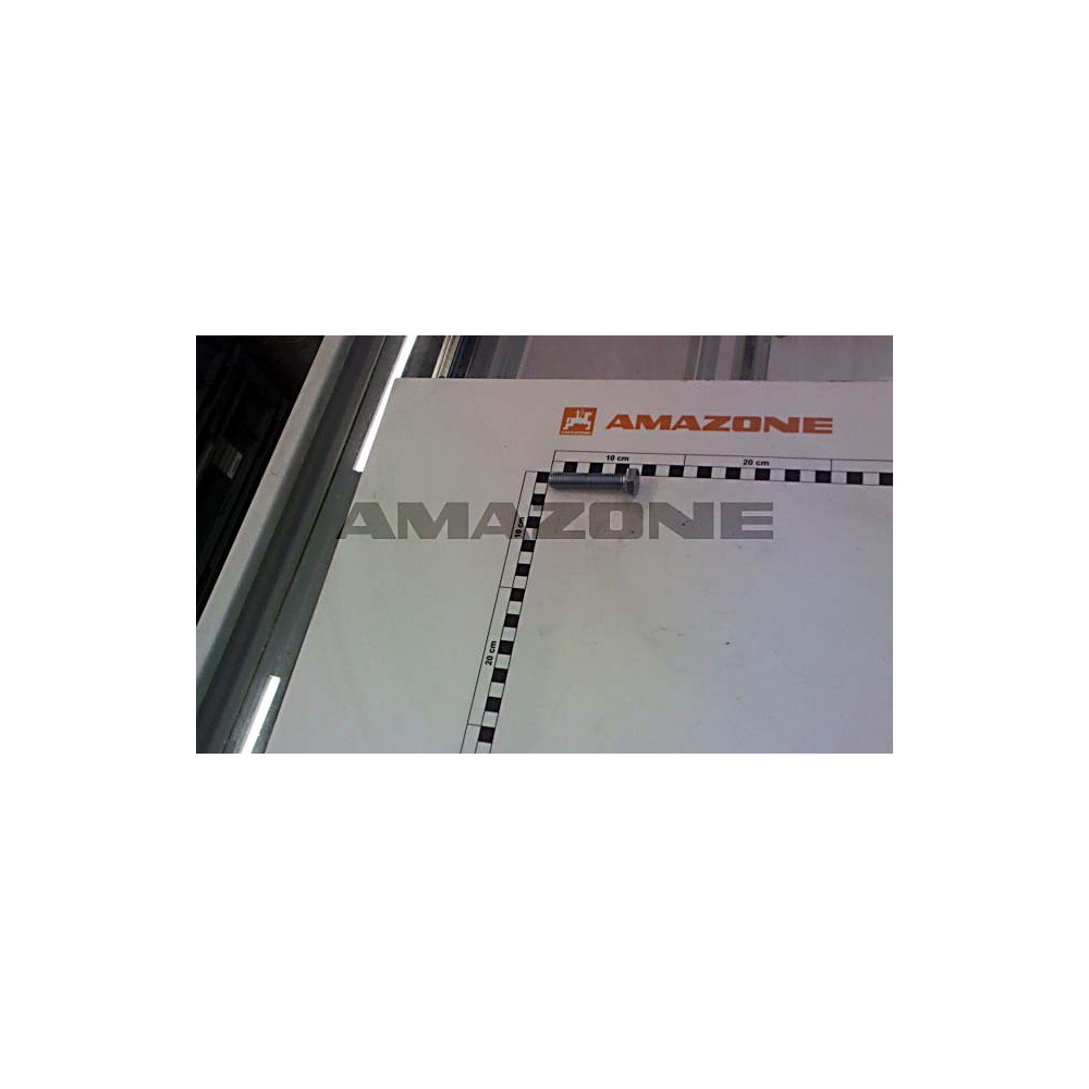Vis 12 X 60 DC427 Amazone