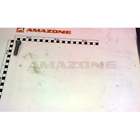Vis 12 X 45 DC438 Amazone