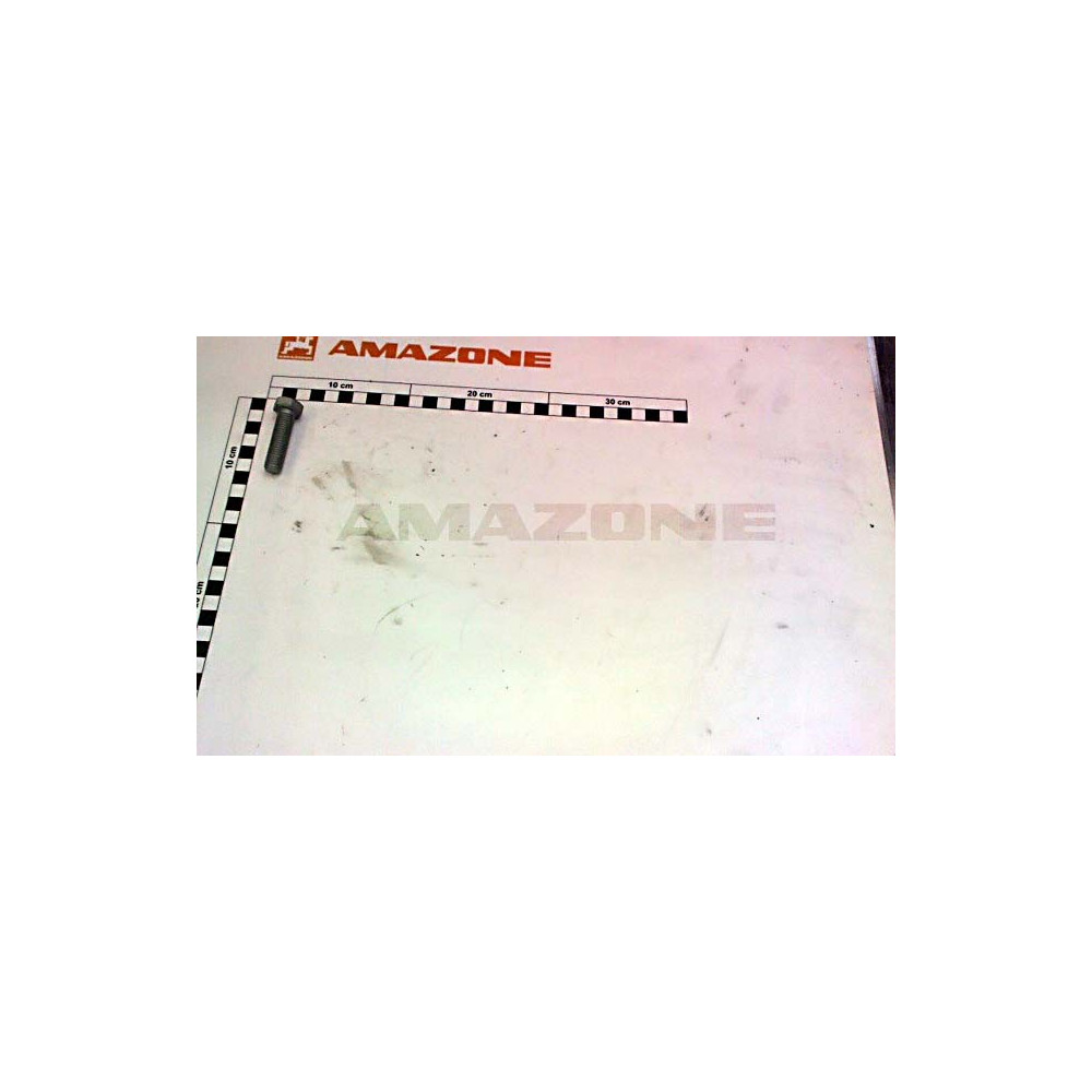 Vis 12 X 45 DC438 Amazone