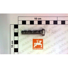 Vis 10X50 10.9 VZ ISO 4017 UX Réf. DC455 - AMAZONE Vis 10X50 10.9 VZ ISO 4017 UX Réf. DC455 - AMAZONE