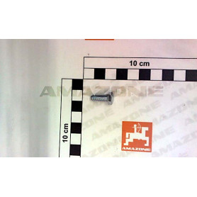 Vis 06X 16 7513A FLZNL-480H DD021 Amazone