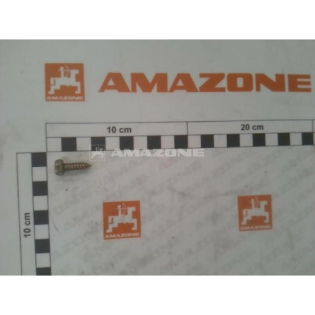 Vis 06.3x 19 7976B Réf. DD037 - AMAZONE