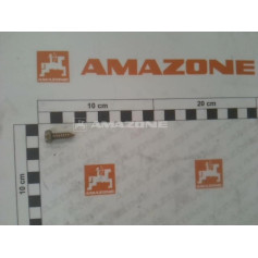 Vis 06.3x 19 7976B Réf. DD037 - AMAZONE