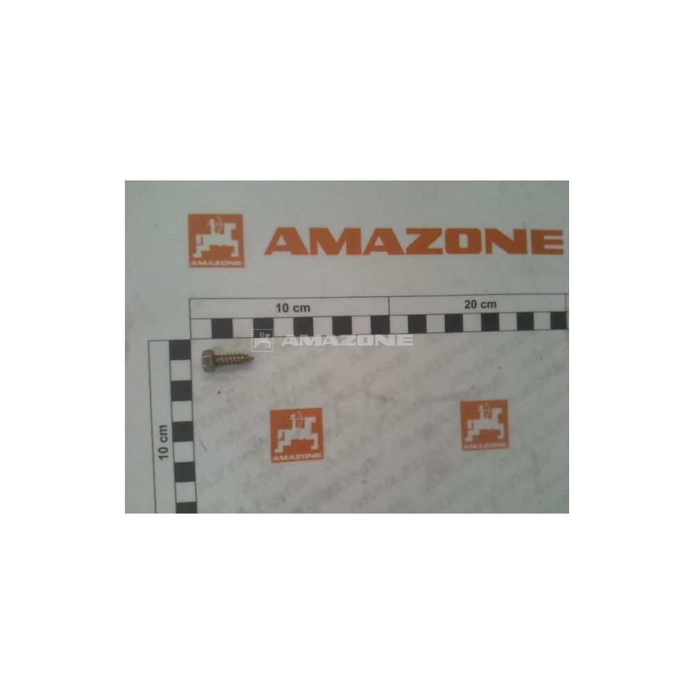 Vis 06.3x 19 7976B DD037 Amazone