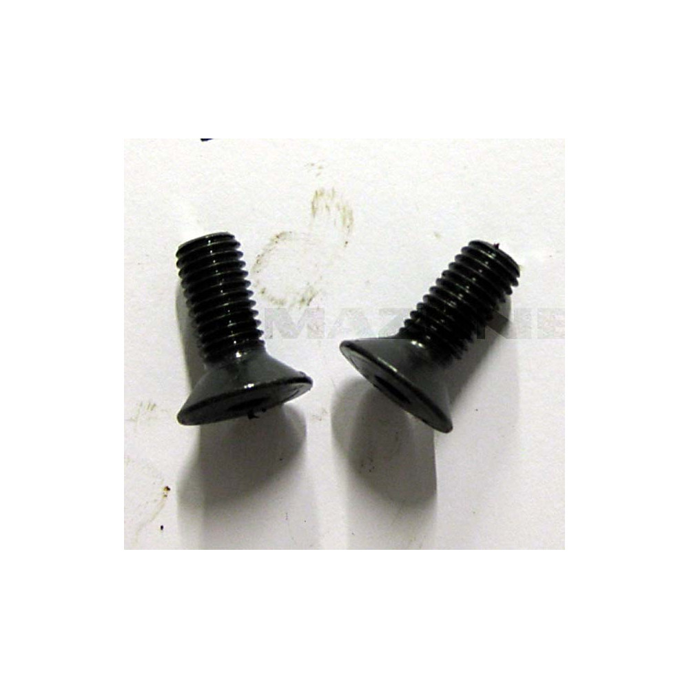 Vis 10X 25 10642 8.8 DD050 Amazone