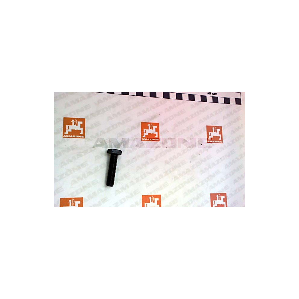 Vis 10X 40X1 8676 10.9 DD065 Amazone