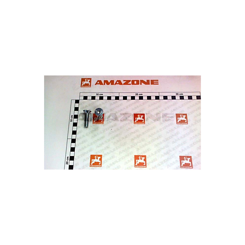 Vis 10X 40 A4-80 DD140 Amazone
