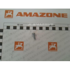 VIS 05.5X 19 7049 C-H ST A2G Réf. DD169 AMAZONE VIS 05.5X 19 7049 C-H ST A2G Réf. DD169 AMAZONE