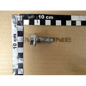 Vis 12X30 DD170 Amazone