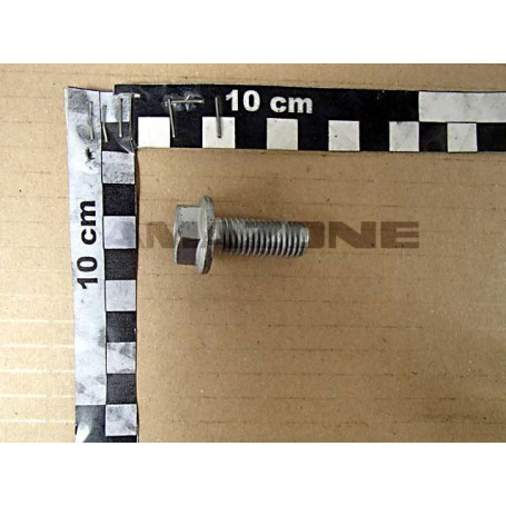 VIS 12X30 Réf. DD170 AMAZONE VIS 12X30 Réf. DD170 AMAZONE