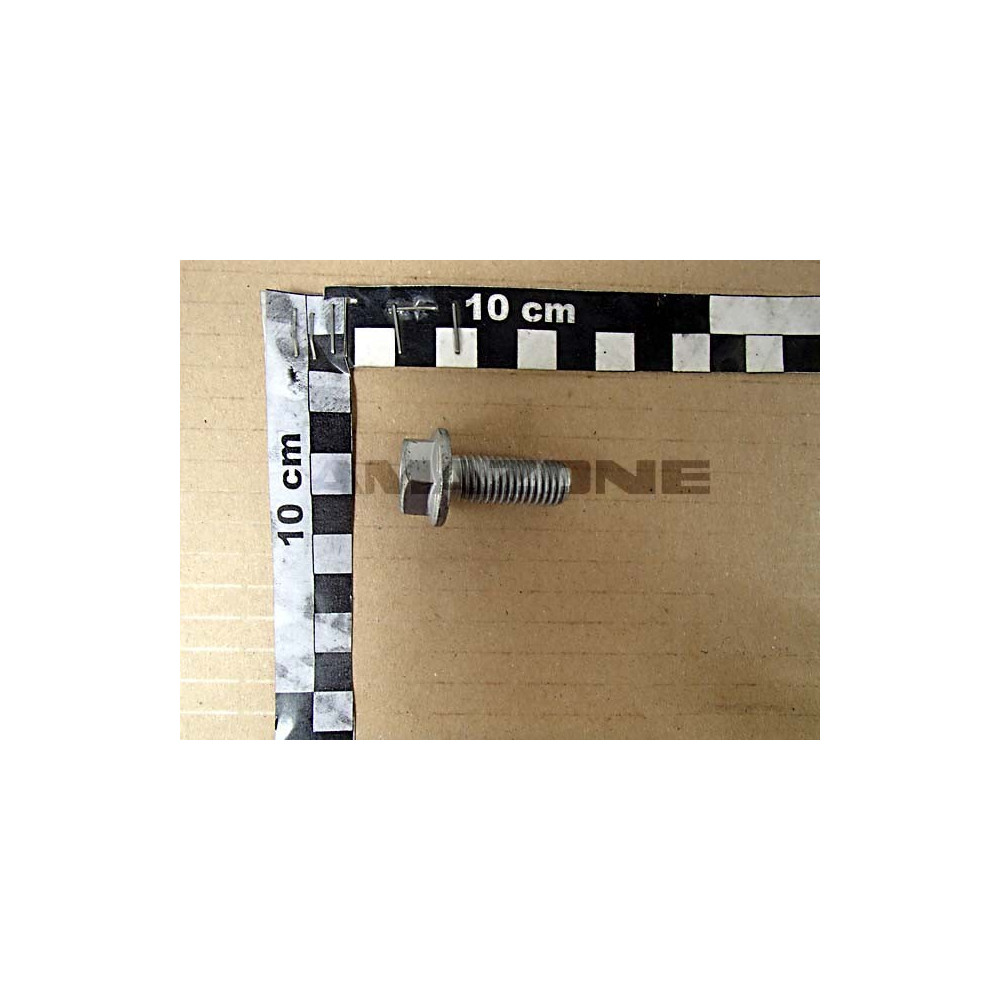 Vis 12X30 DD170 Amazone