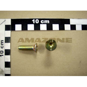 Vis 08X 30 10642 8.8 A2G DD180 Amazone