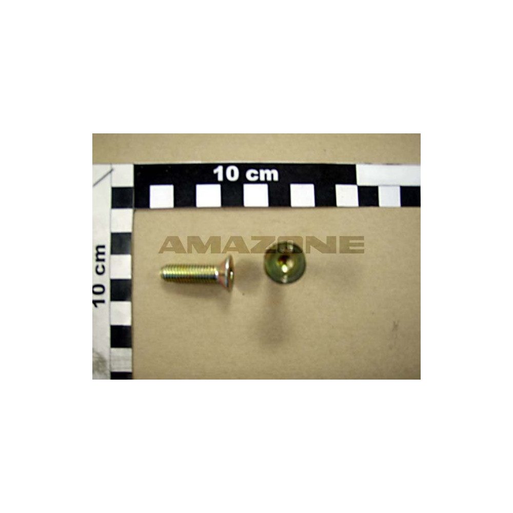 Vis 08X 30 10642 8.8 A2G DD180 Amazone