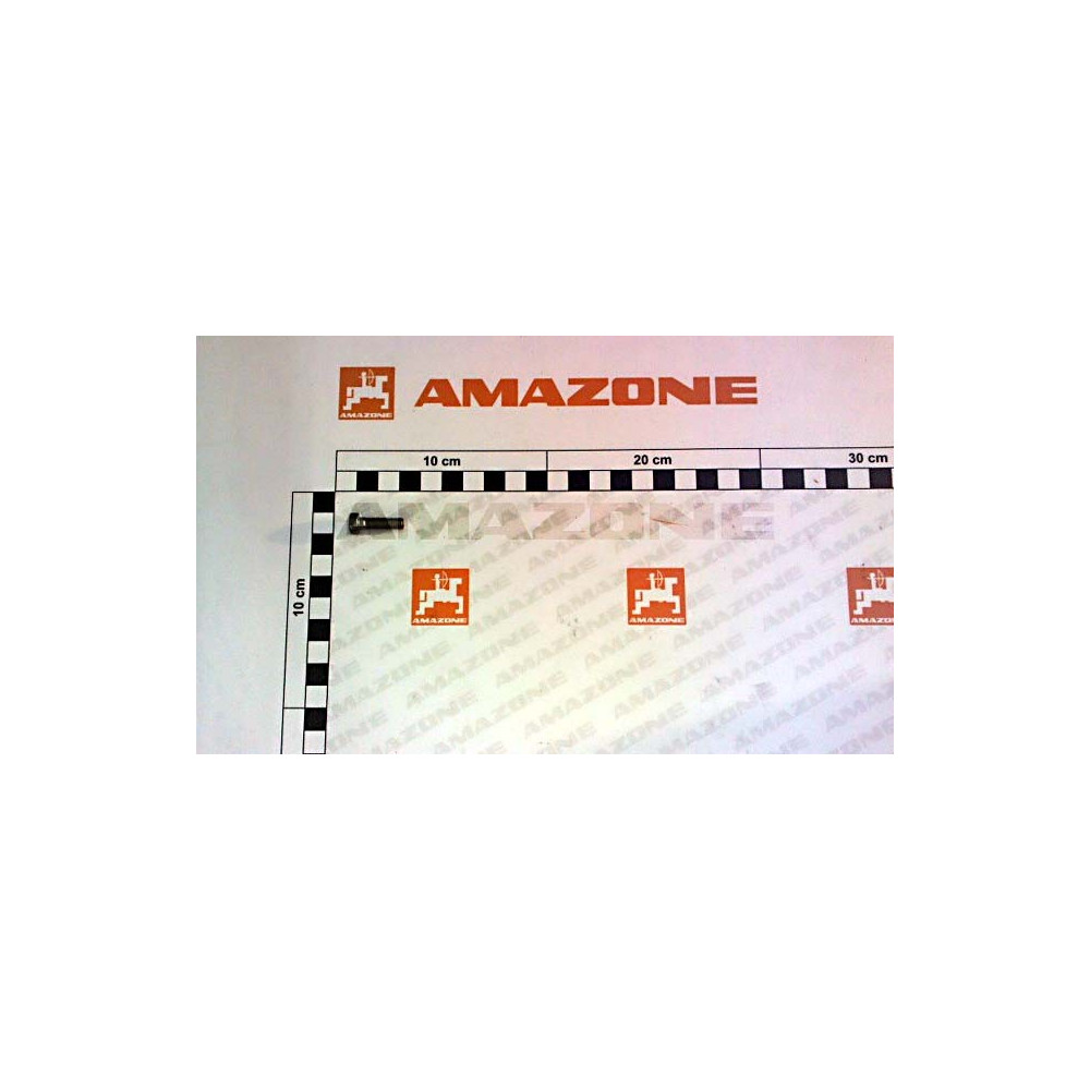 Vis 06X 20 6912 A2-70 DD183 Amazone