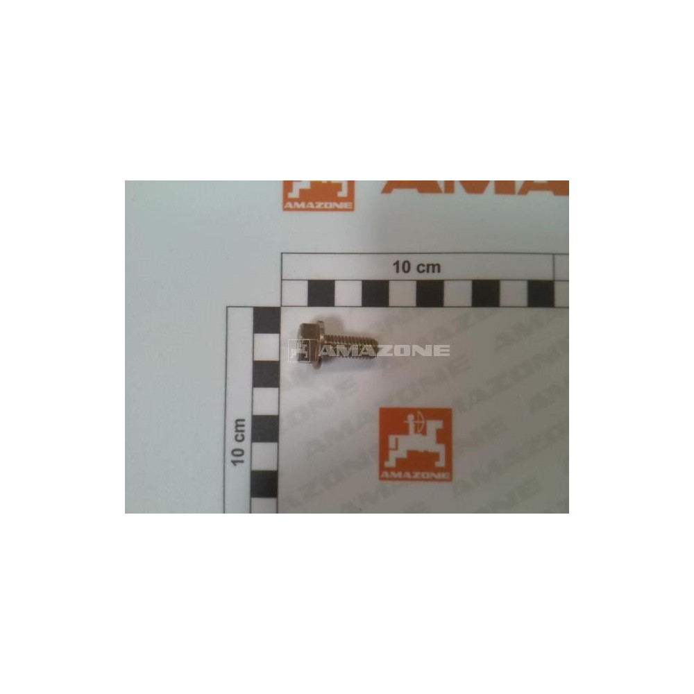 Vis 08X 20 6921 8.8 A2G DD184 Amazone