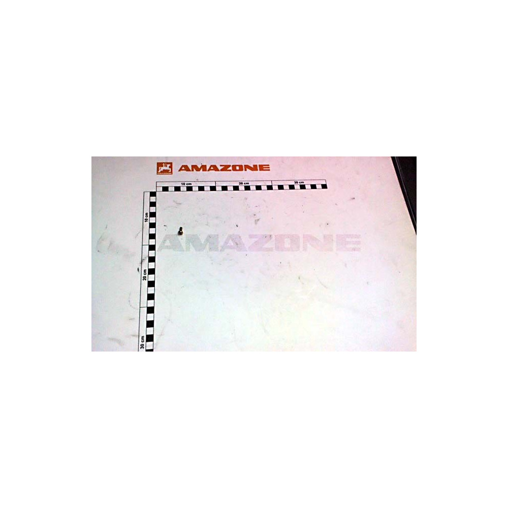 Vis 04X 10 7045 4.8 DD234 Amazone