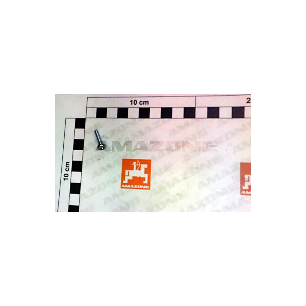 Vis 4 X 16 DD237 Amazone