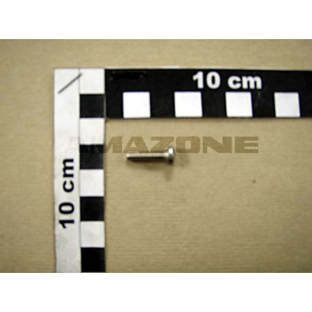 VIS A TETE BOMBEE 4X16 H A2-70 Réf. DD238 AMAZONE VIS A TETE BOMBEE 4X16 H A2-70 Réf. DD238 AMAZONE