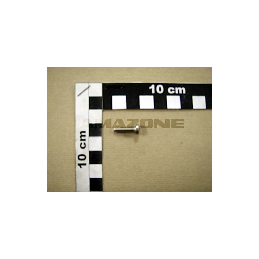 Vis A tete bombee 4X16 H A2-70 DD238 Amazone