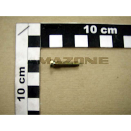 VIS 04X 20 7045 4.8 A2G Réf. DD239 AMAZONE VIS 04X 20 7045 4.8 A2G Réf. DD239 AMAZONE