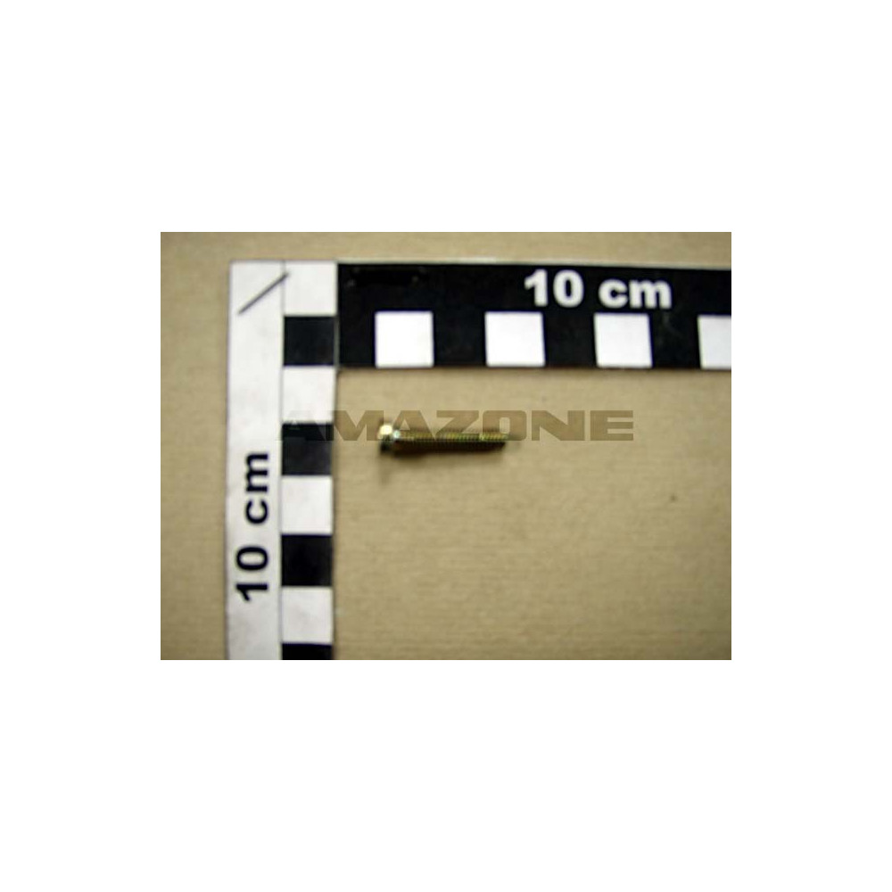 Vis 04X 20 7045 4.8 A2G DD239 Amazone
