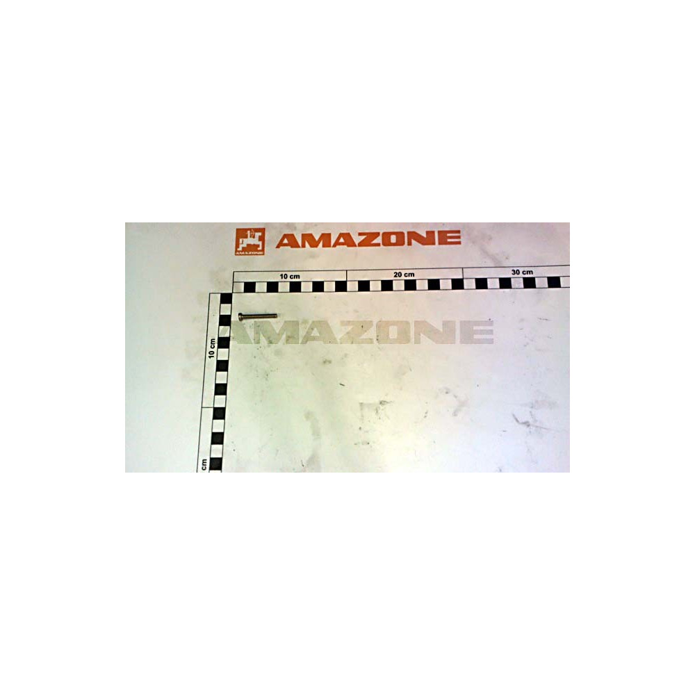 Vis 04X 30 7045 A2-70 DD243 Amazone
