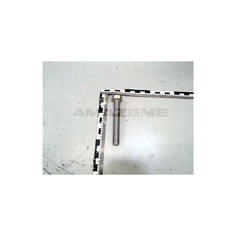 Vis 12 X 80 A2-70 DC407 Amazone