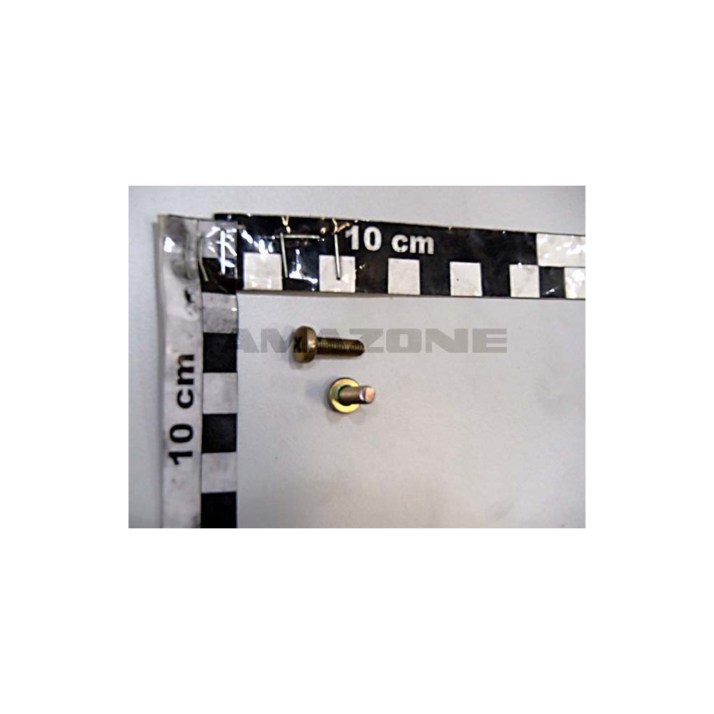 Vis A tete bombee 7045 5X16 H 4.8 A DD249 Amazone