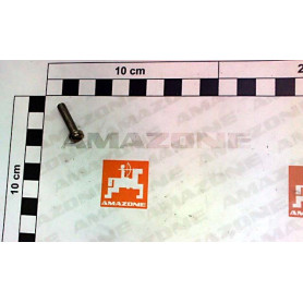 Vis 05X 20 7045 4.8 A2G DD251 Amazone