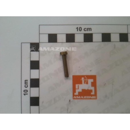 VIS 05X 25 7045 4.8 A2G Réf. DD253 AMAZONE VIS 05X 25 7045 4.8 A2G Réf. DD253 AMAZONE