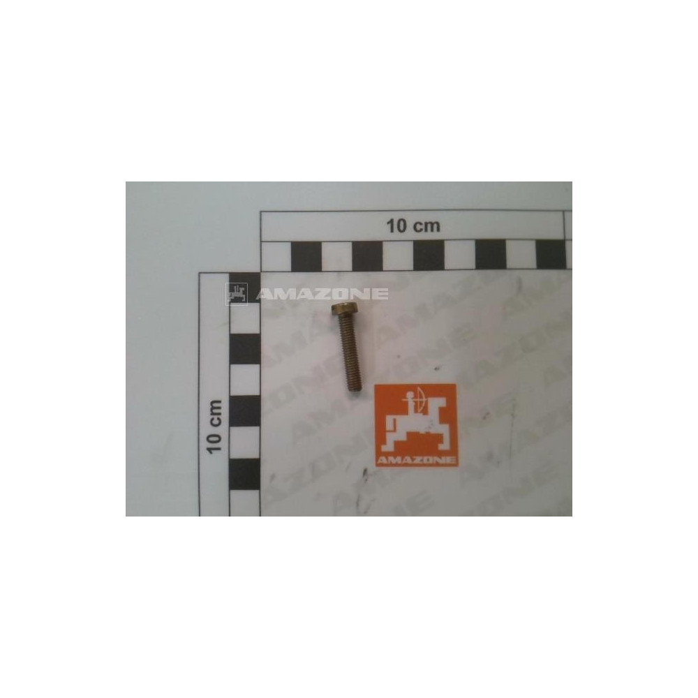Vis 05X 25 7045 4.8 A2G DD253 Amazone