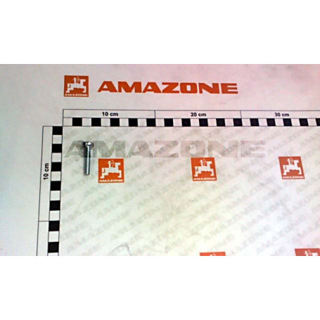 VIS 06X 30 7045  4.8 A2G Réf. DD261 AMAZONE