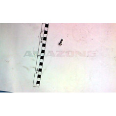 Vis A ETE plate 5 X16 Réf. DD265 - AMAZONE Vis A ETE plate 5 X16 Réf. DD265 - AMAZONE