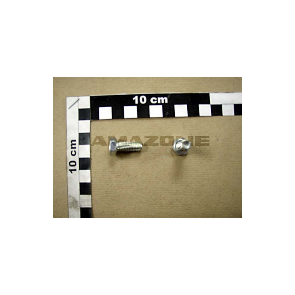 Vis autofilteuse 8X20 DD282 Amazone