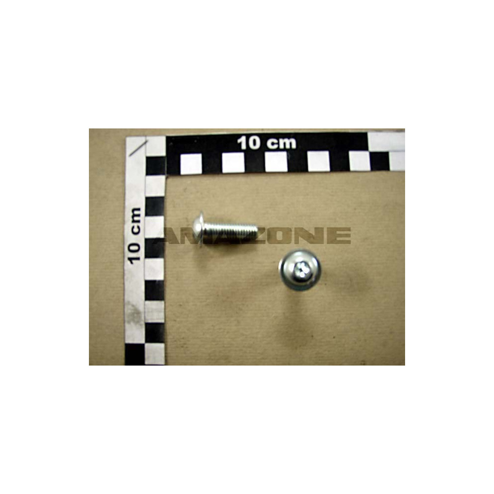 Vis 8 X 25 10.9 DD299 Amazone