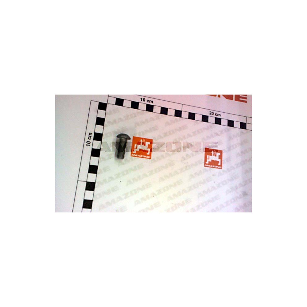 Vis 10X25 010.9 DD373 Amazone