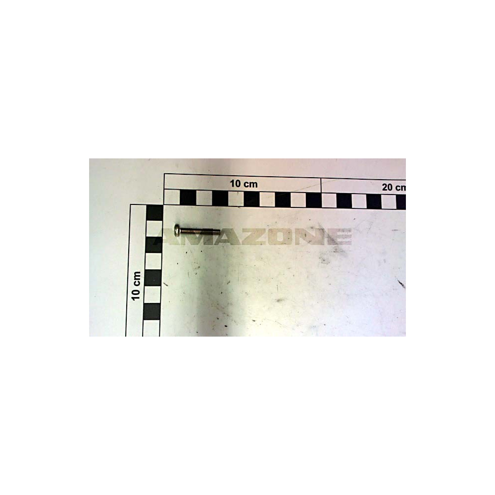 Vis 4X20 A2-70 DD404 Amazone