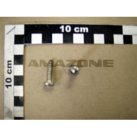 Vis 05.5x 22 ISO 7049 DD433 Amazone