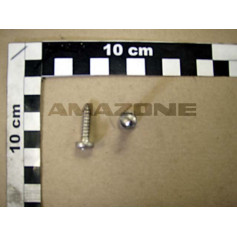 Vis 05.5x 22 ISO 7049 Réf. DD433 - AMAZONE Vis 05.5x 22 ISO 7049 Réf. DD433 - AMAZONE