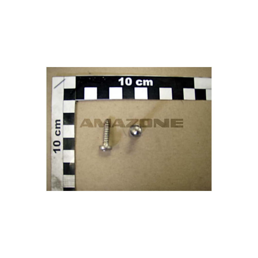 Vis 05.5x 22 ISO 7049 DD433 Amazone