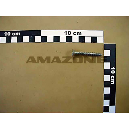VIS 06X 50 A2Z PLAQUE DE TENSION Réf. DD434 AMAZONE VIS 06X 50 A2Z PLAQUE DE TENSION Réf. DD434 AMAZONE